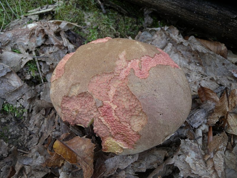 Forse l''ultima bellissima giornata..!!